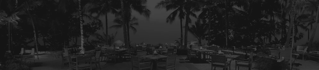 palm trees by the beach in black and white | Top Miami Surgeon Gregory D. Lewen, MD